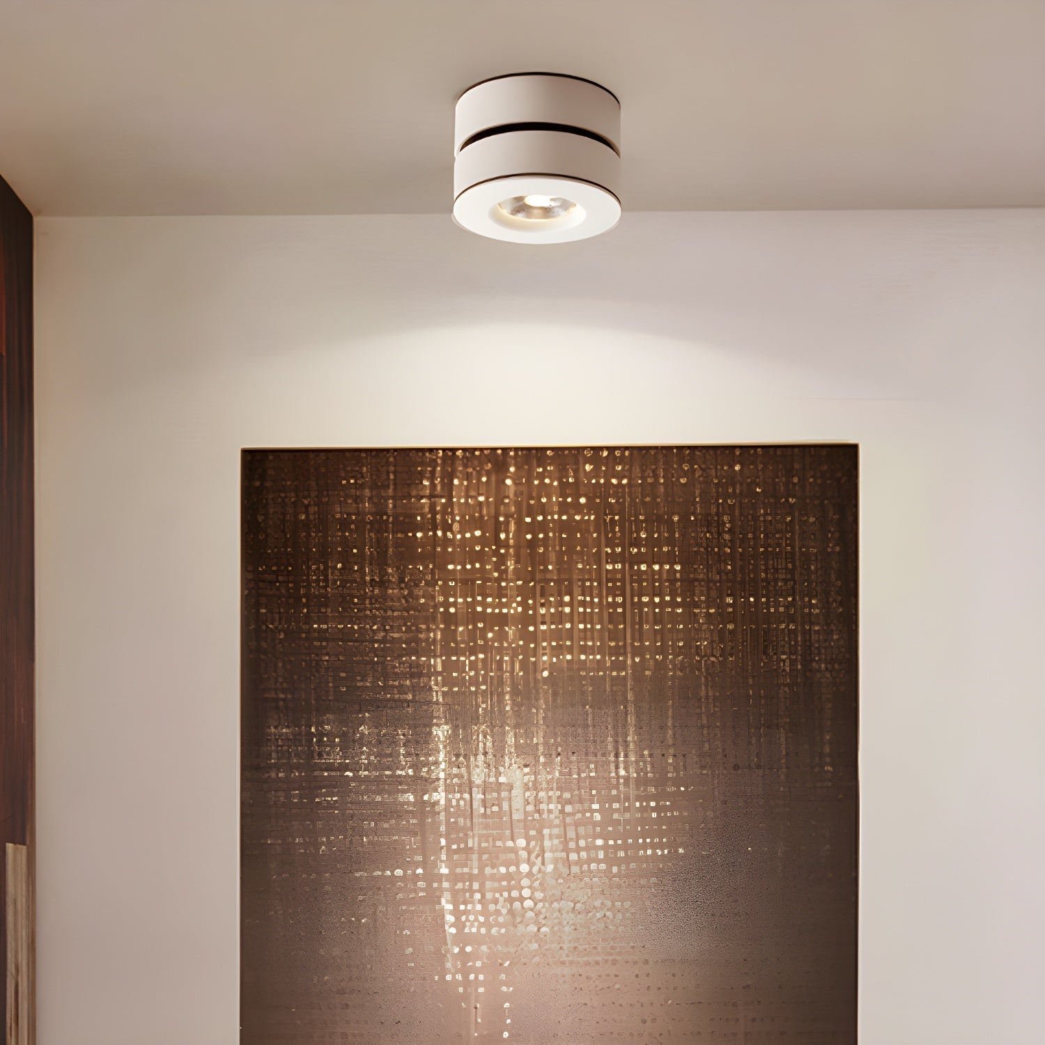 Covena Modern Minimalist Adjustable Surface Downlight Ceiling lamp-Neutral Decor