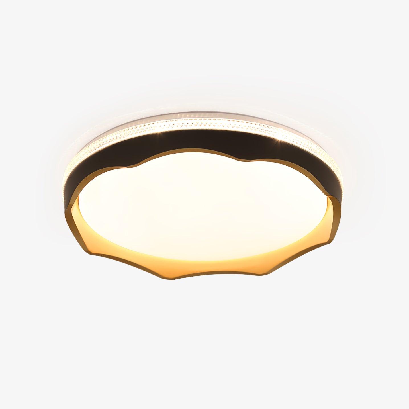 Lyriniel Modern Minimalist Ceiling Light-Neutral Decor