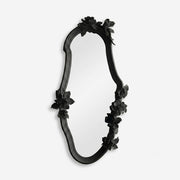 Raven Mirror