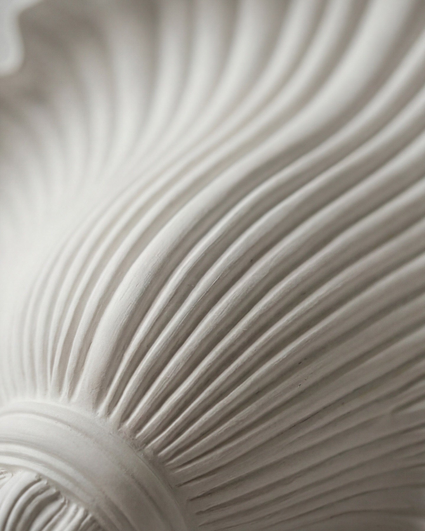 Marina Wall Sconce