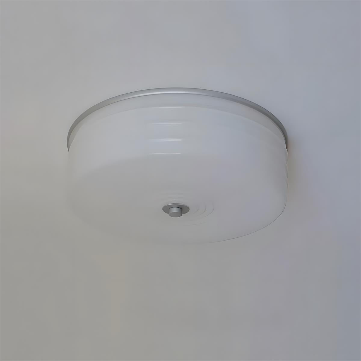 Violetfield Flush Mount Ceiling Light