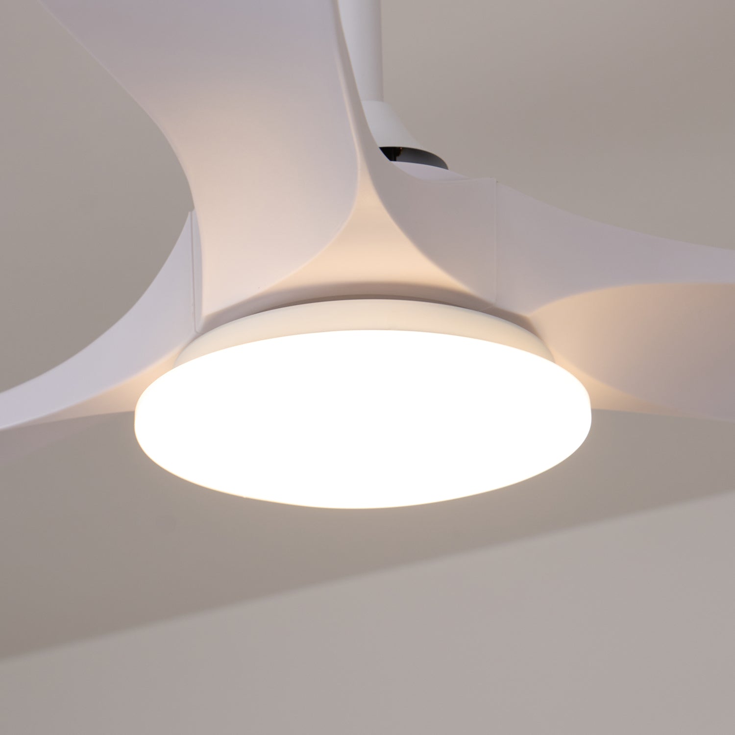 Oriken Minimalist Ceiling Fan Light-Neutral Decor