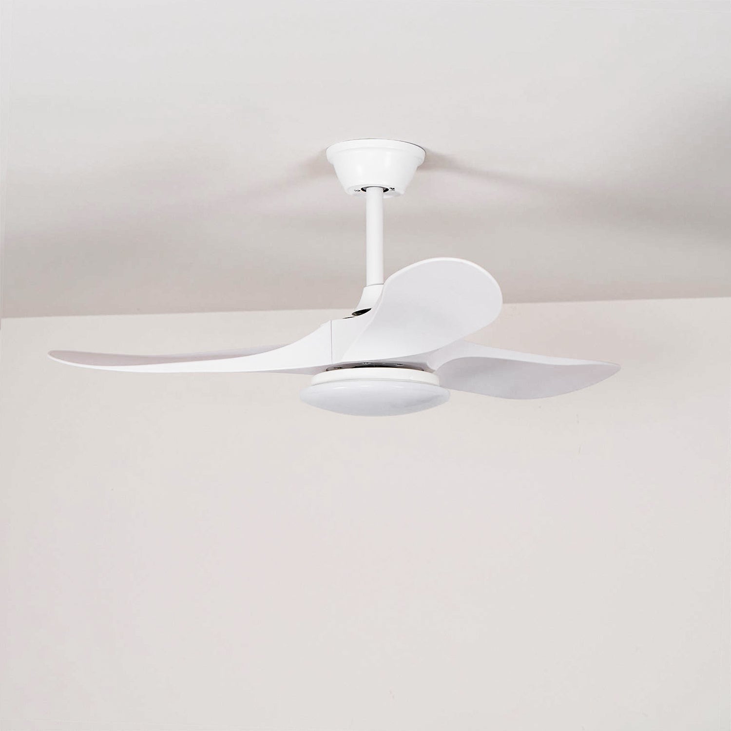 Lifestyle image of the black Maverick fan in a modern home office.