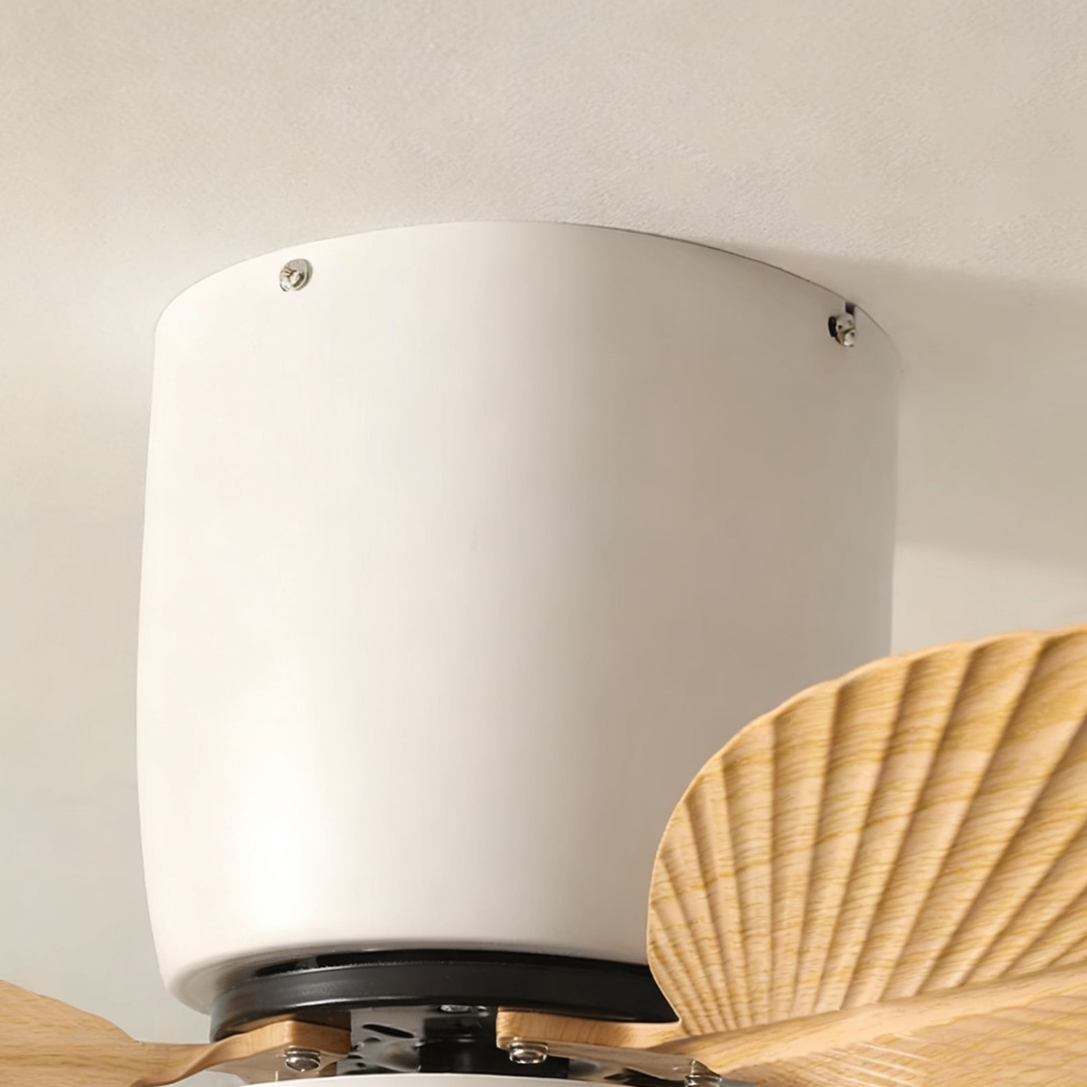 The Melorie fan in black finish, shown in a modern office space.
