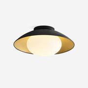 Ceiling Light Metal Canopy Glass Globe Modern Minimalist