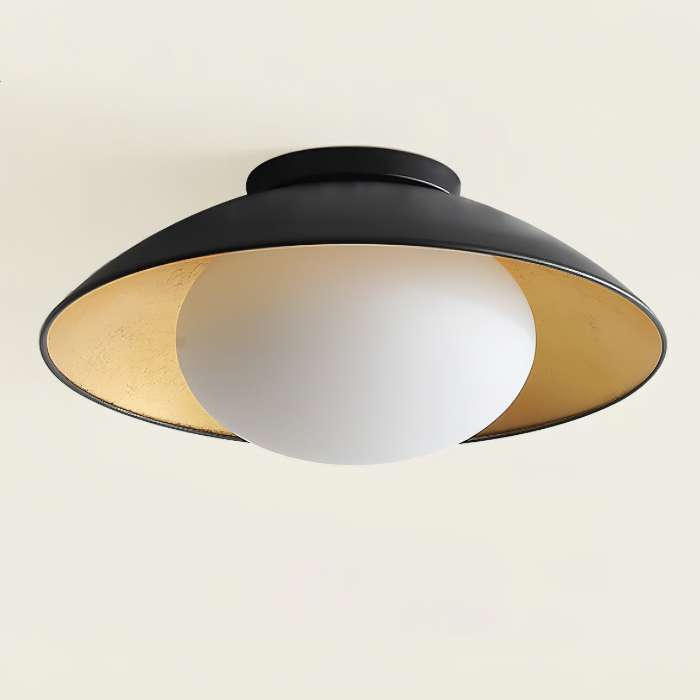 Ceiling Light Metal Canopy Glass Globe Modern Minimalist
