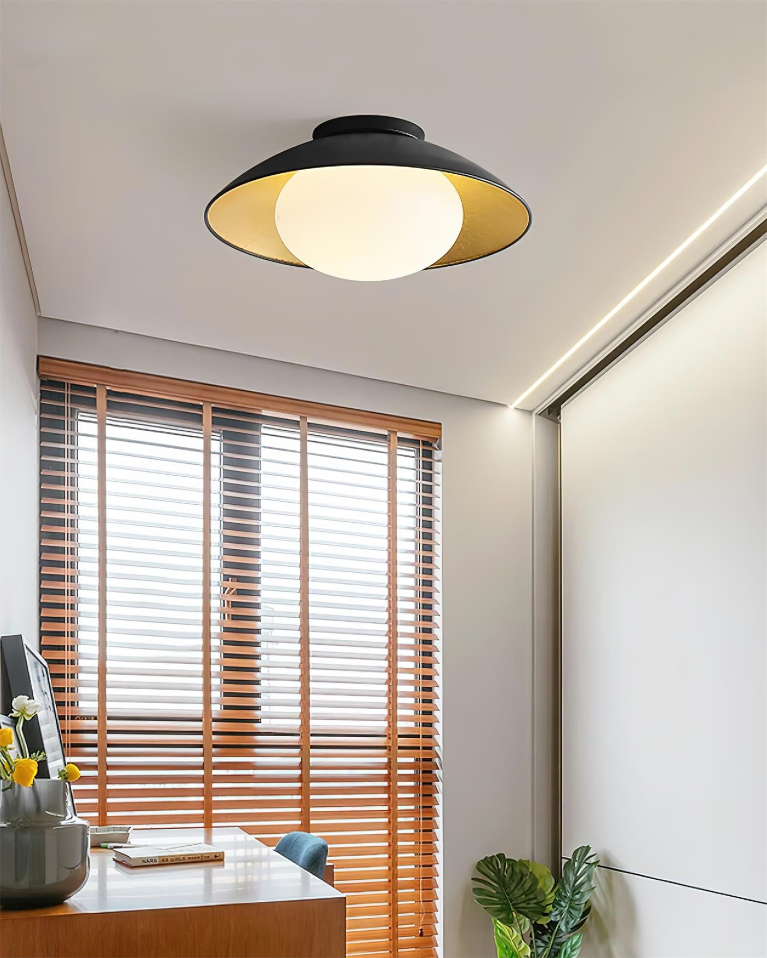 Ceiling Light Metal Canopy Glass Globe Modern Minimalist