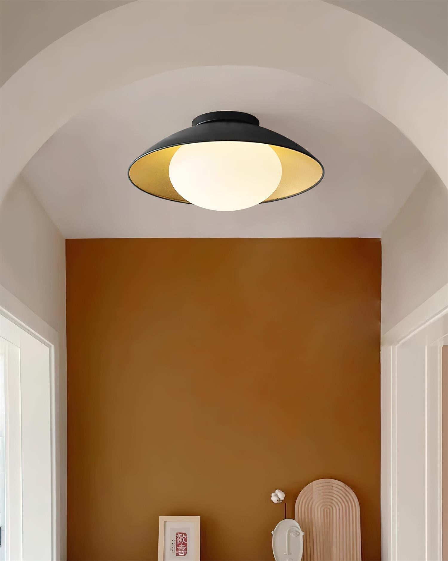 Ceiling Light Metal Canopy Glass Globe Modern Minimalist