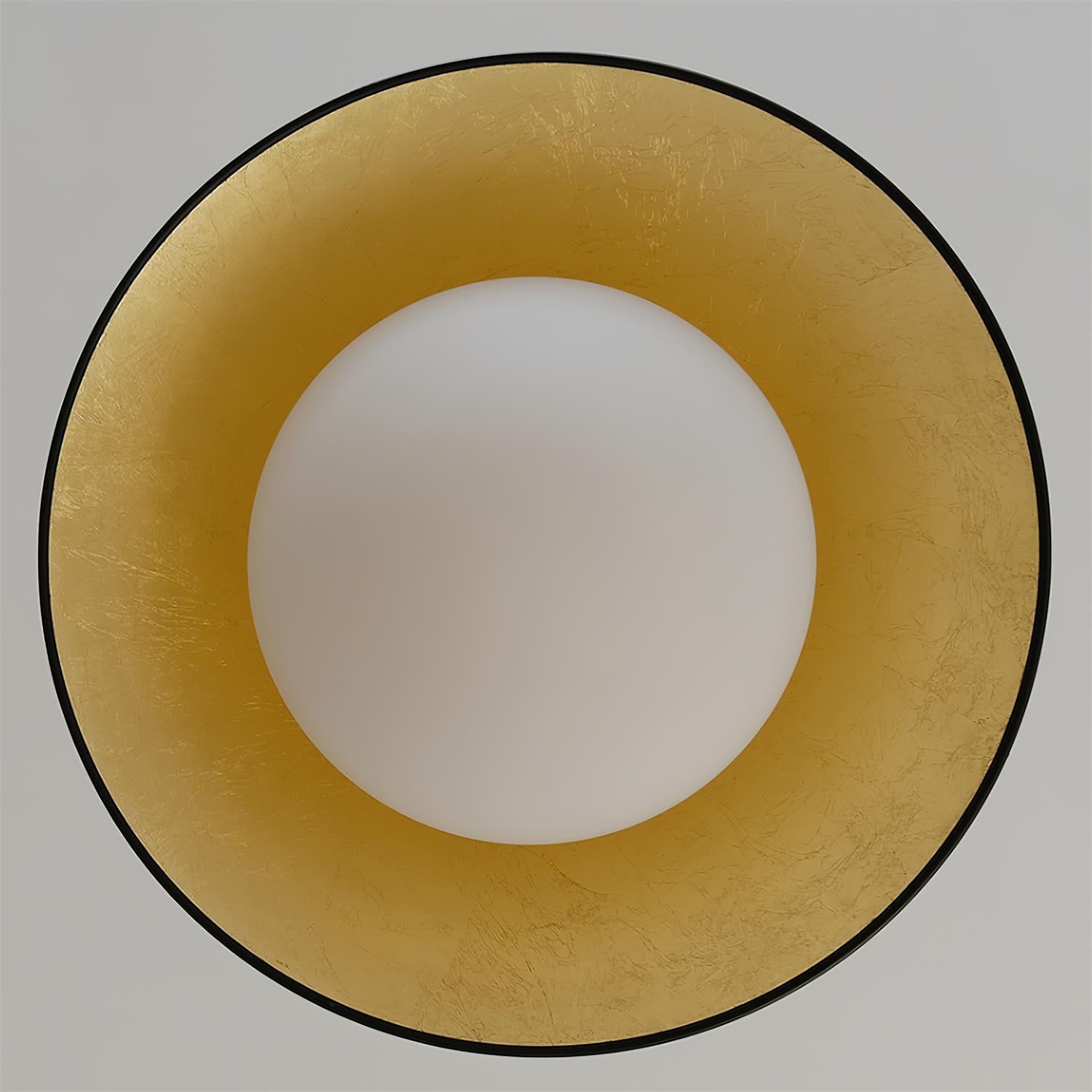 Ceiling Light Metal Canopy Glass Globe Modern Minimalist