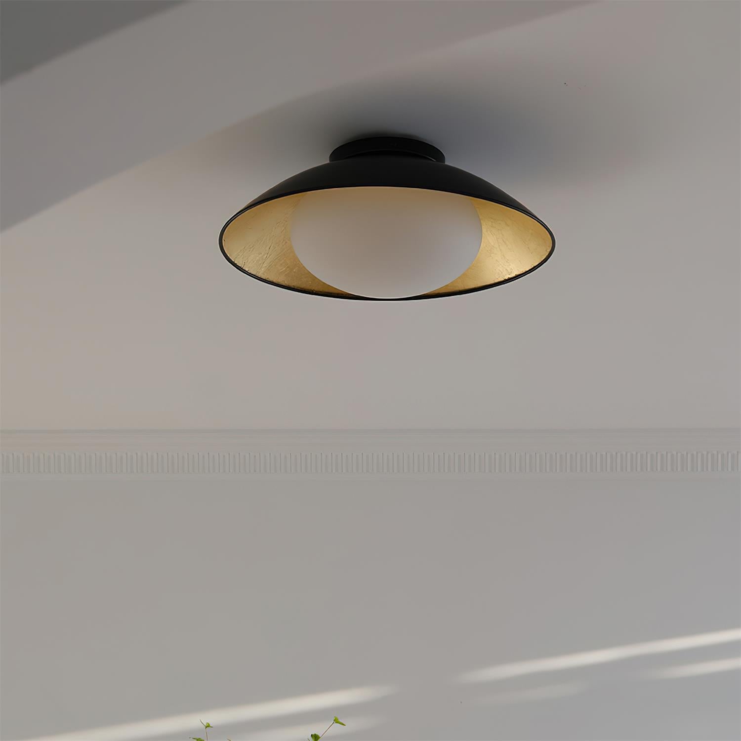 Ceiling Light Metal Canopy Glass Globe Modern Minimalist