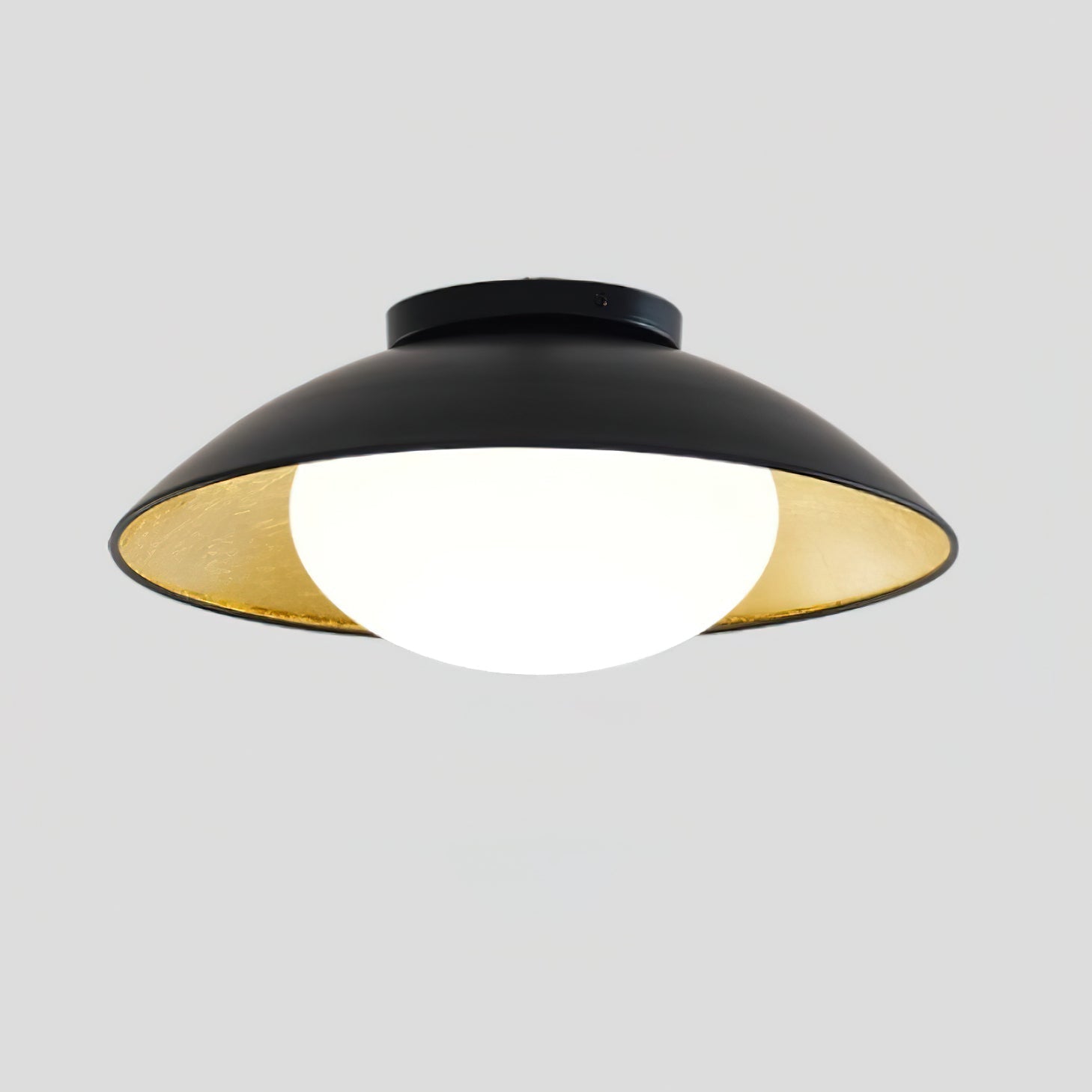 Ceiling Light Metal Canopy Glass Globe Modern Minimalist