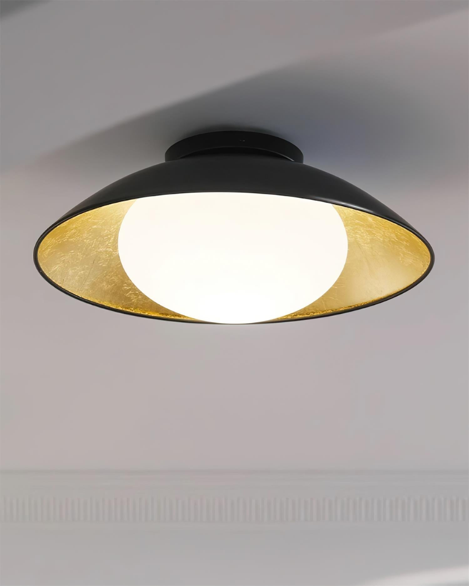 Ceiling Light Metal Canopy Glass Globe Modern Minimalist