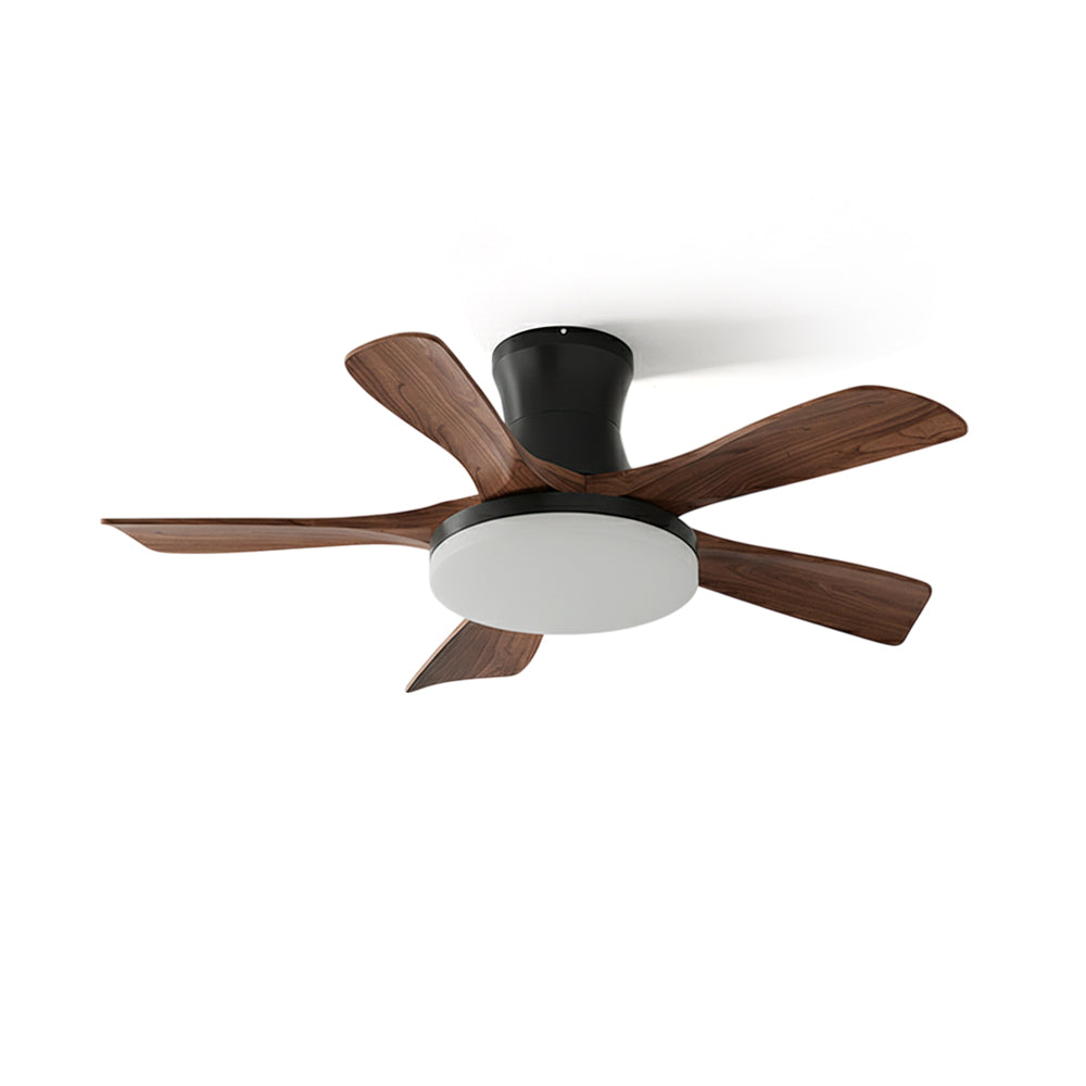 Minka Ceiling Fan Light in a modern living room