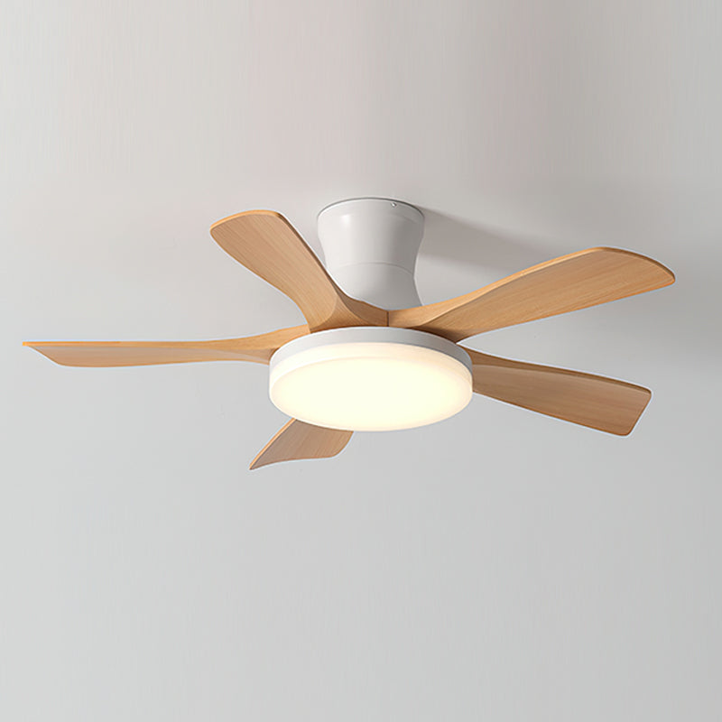 Hawthorne Ceiling Fan Light