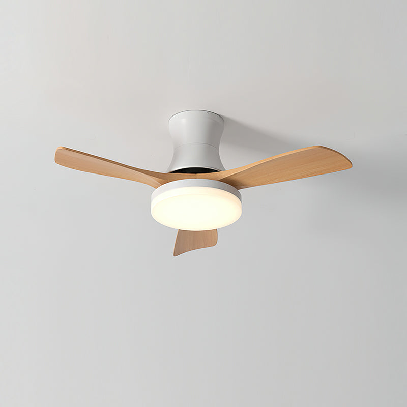 Hawthorne Ceiling Fan Light