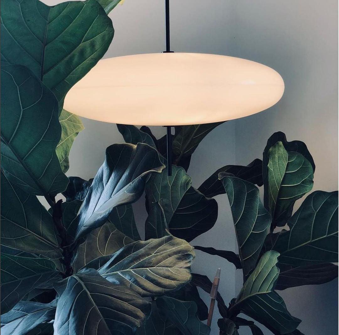 Lustra Pendant Lamp Joined Black-Painted for Living Room-Neutral Decor