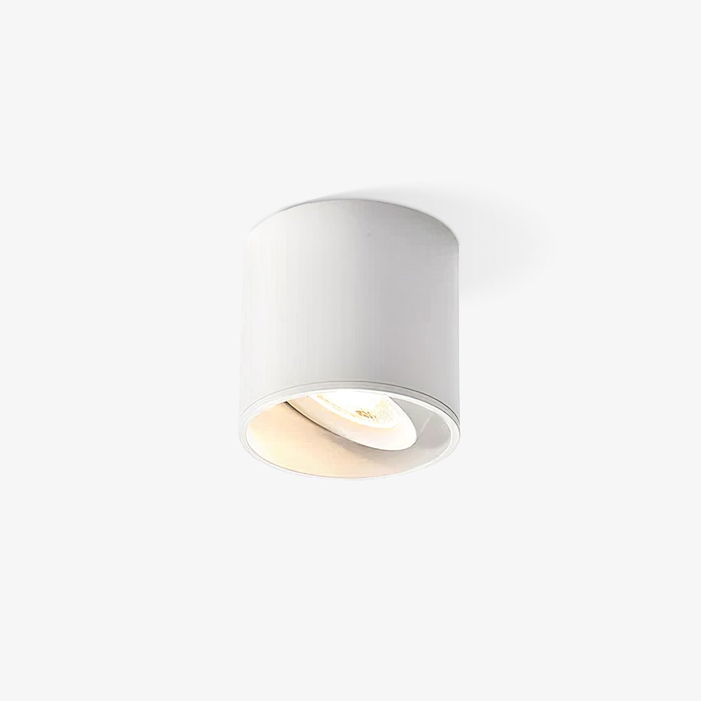 Solara Ceiling Light Acrylic-Neutral Decor