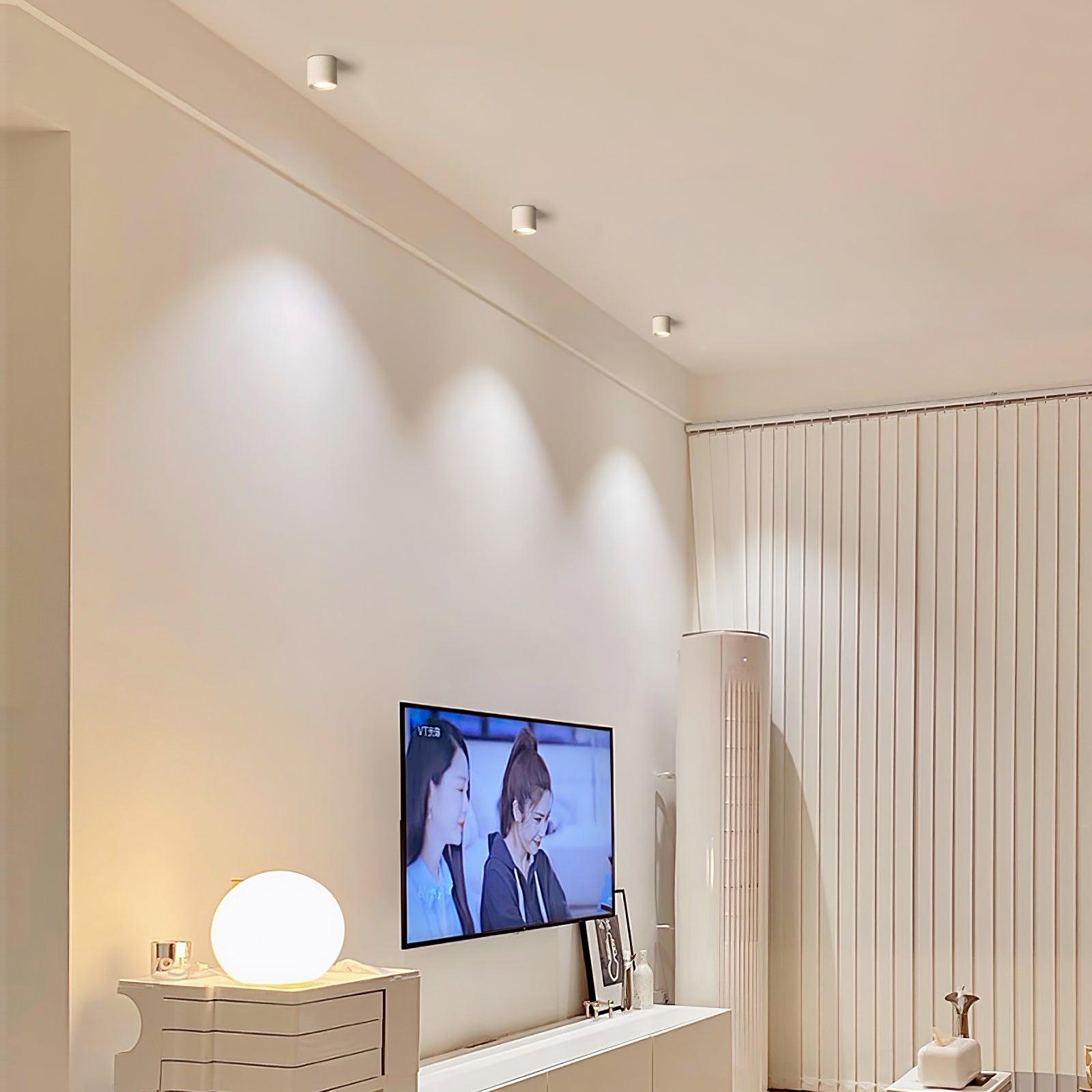 Solara Ceiling Light Acrylic-Neutral Decor