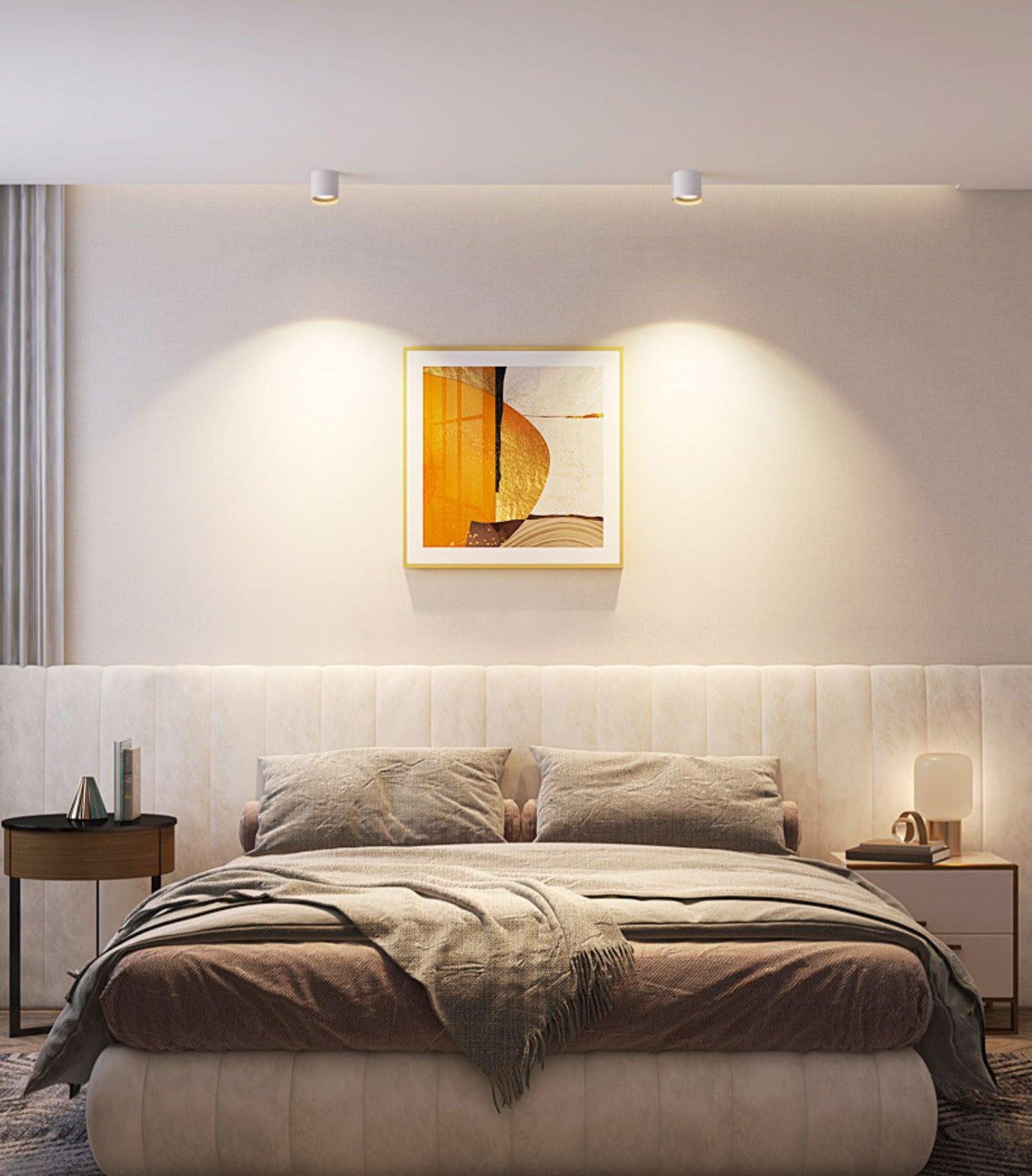 Solara Ceiling Light Acrylic-Neutral Decor