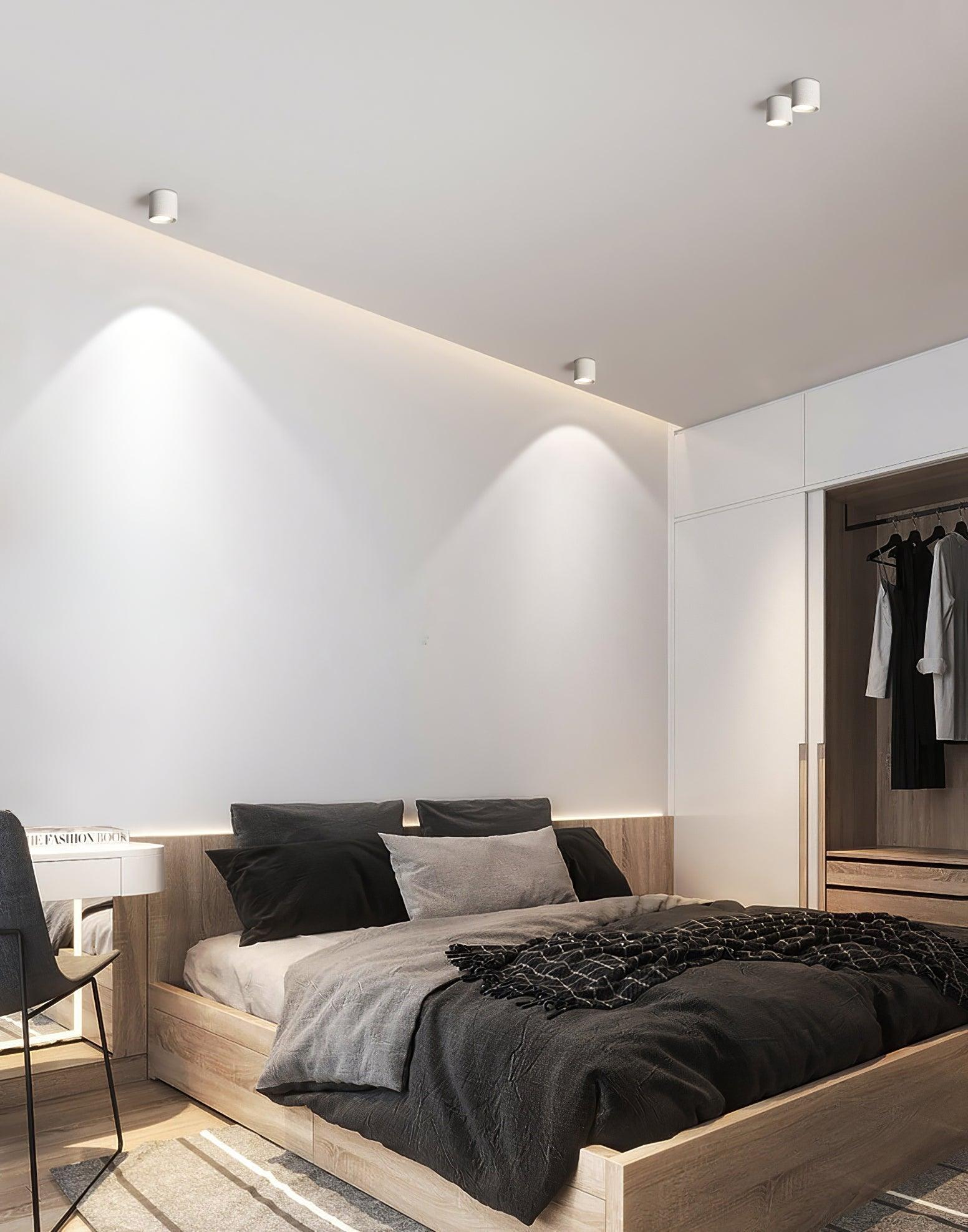 Solara Ceiling Light Acrylic-Neutral Decor