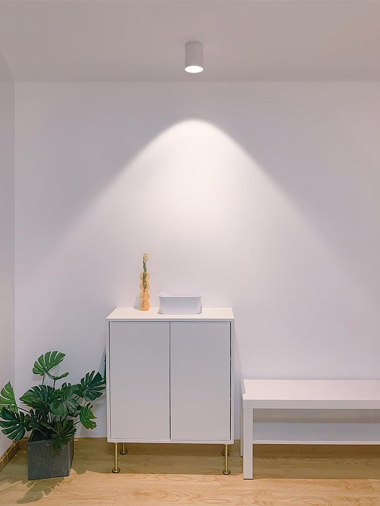 Solara Ceiling Light Acrylic-Neutral Decor