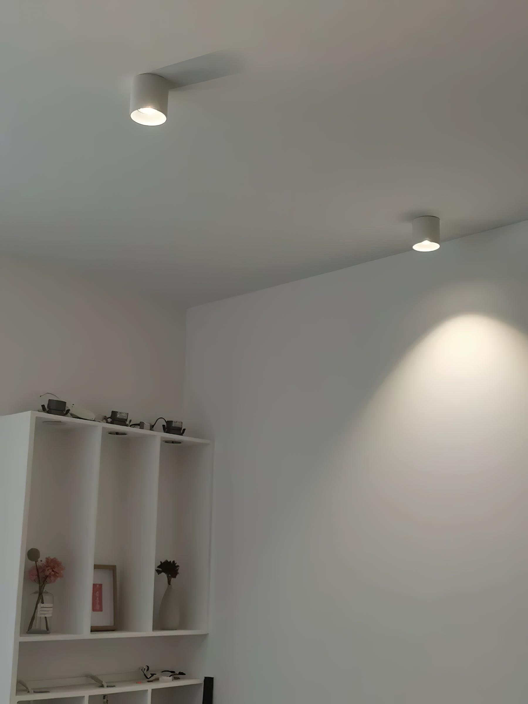 Solara Ceiling Light Acrylic-Neutral Decor