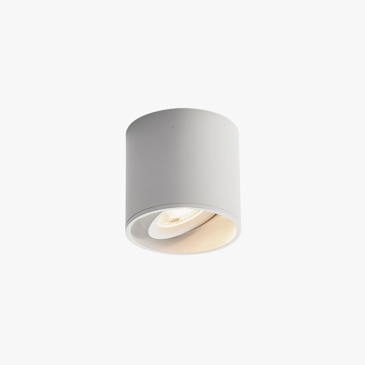 Solara Ceiling Light Acrylic-Neutral Decor