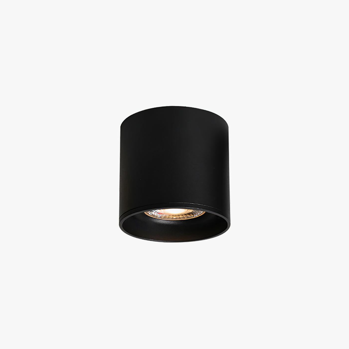 Solara Ceiling Light Acrylic-Neutral Decor