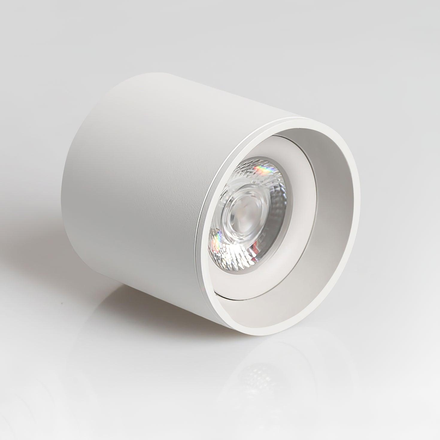 Solara Ceiling Light Acrylic-Neutral Decor