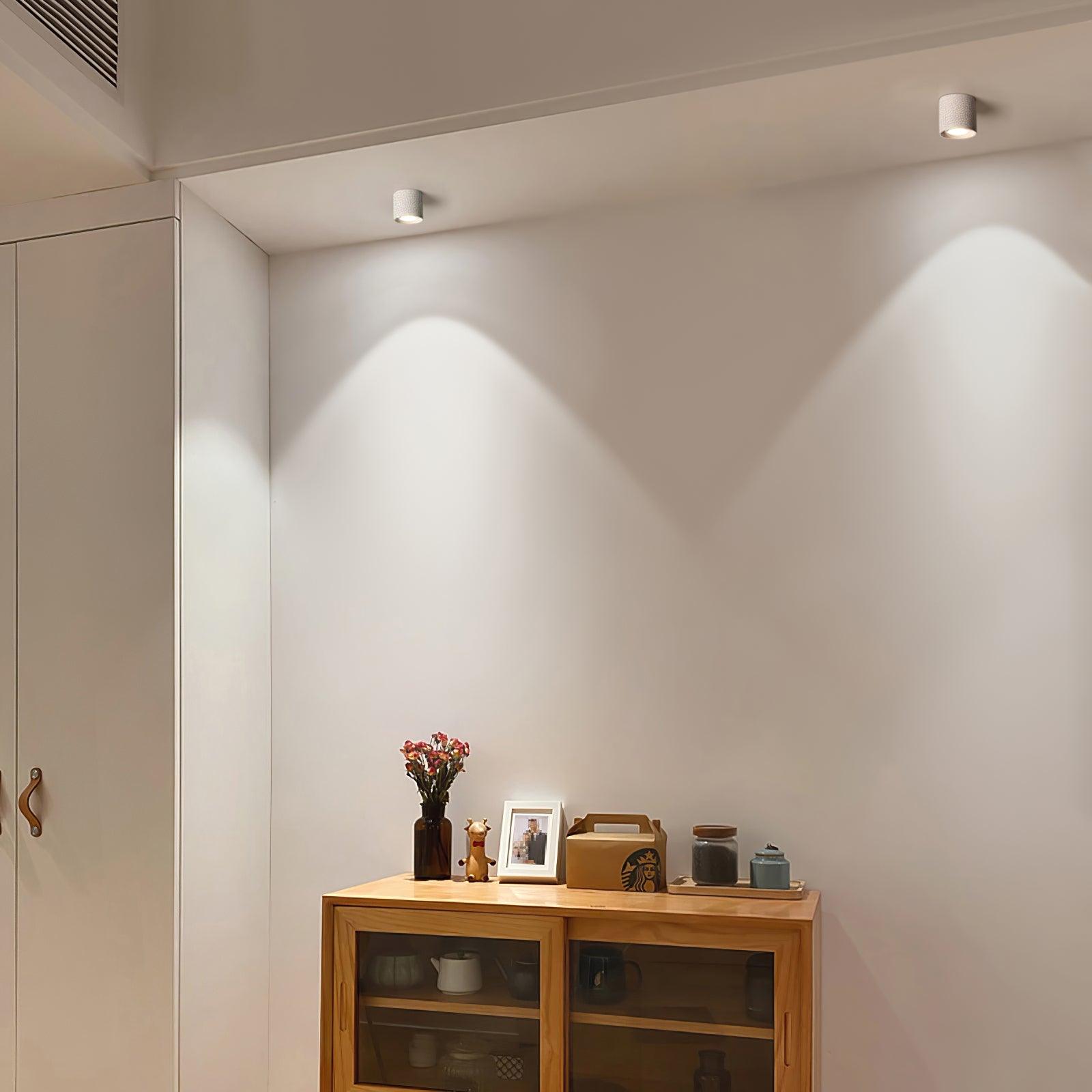 Solara Ceiling Light Acrylic-Neutral Decor