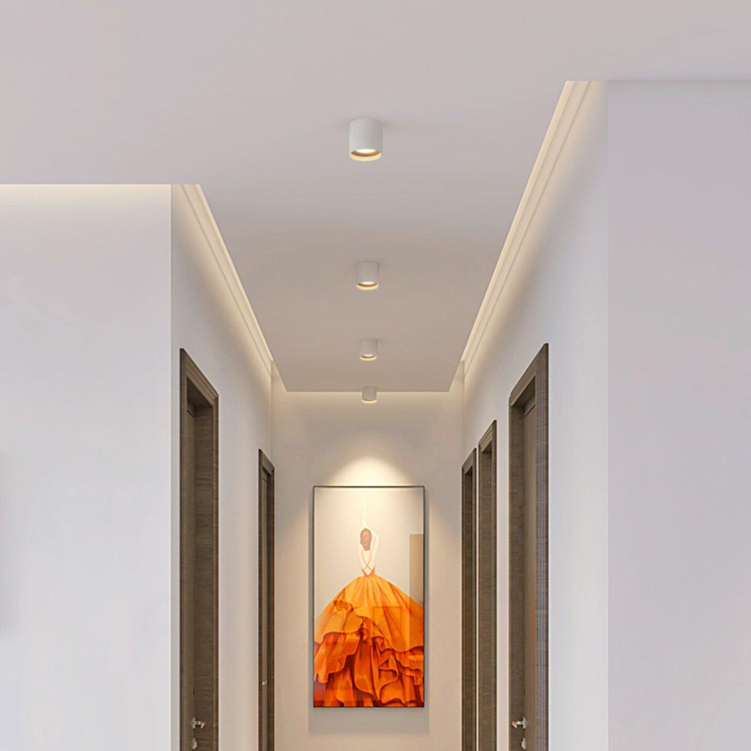 Solara Ceiling Light Acrylic-Neutral Decor