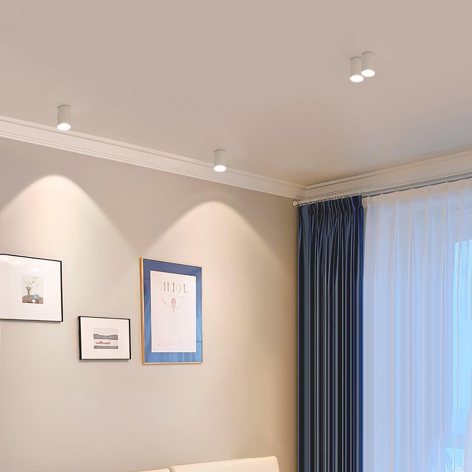Solara Ceiling Light Acrylic-Neutral Decor