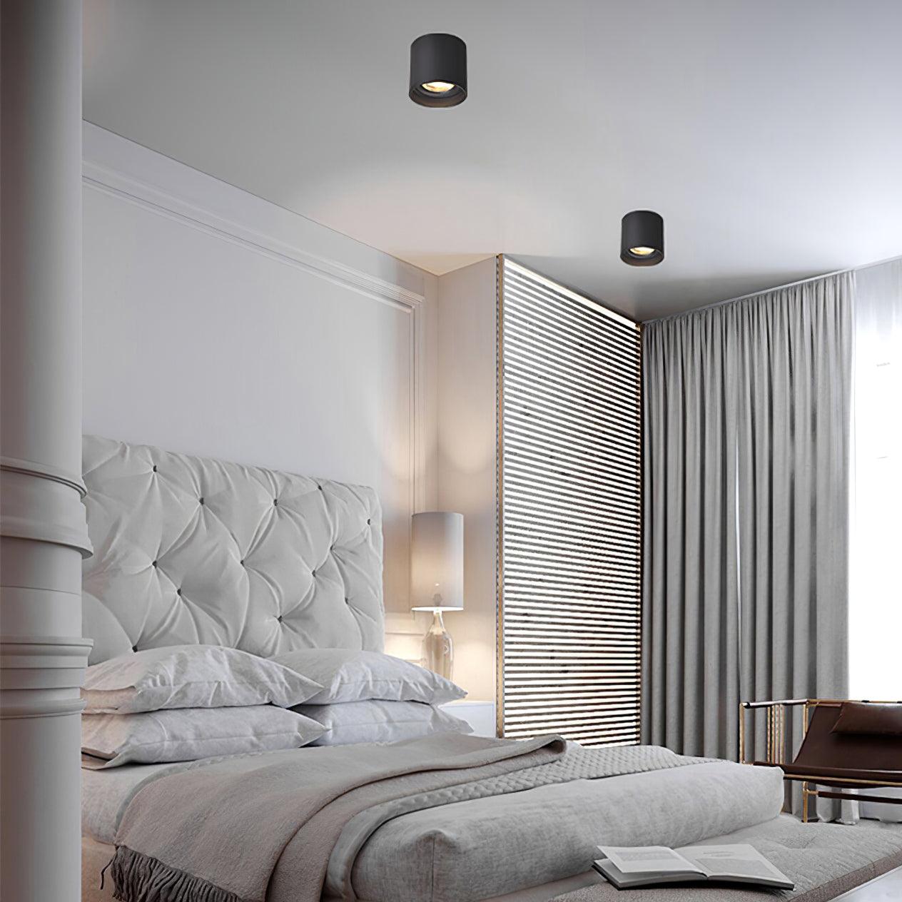 Solara Ceiling Light Acrylic-Neutral Decor