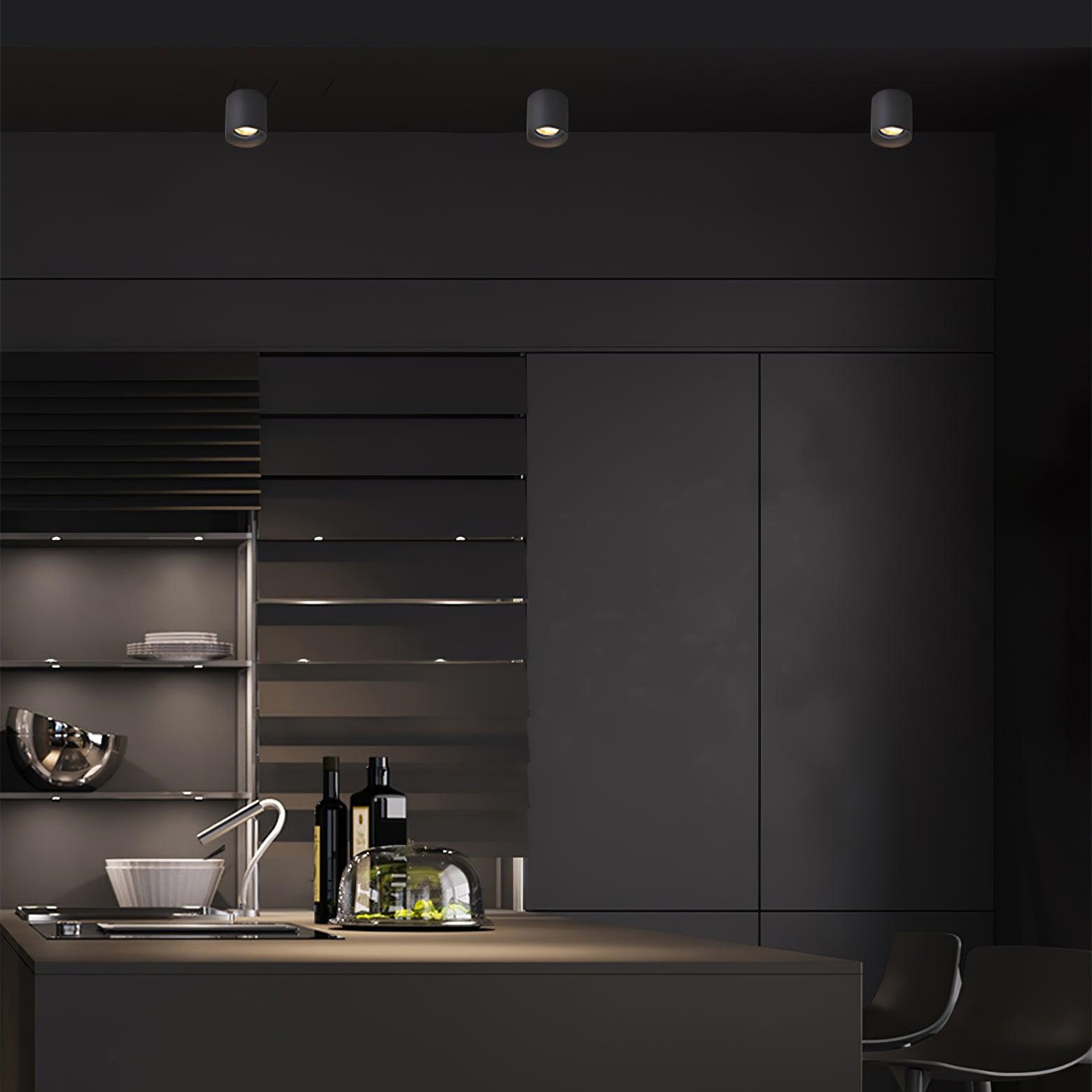 Solara Ceiling Light Acrylic-Neutral Decor