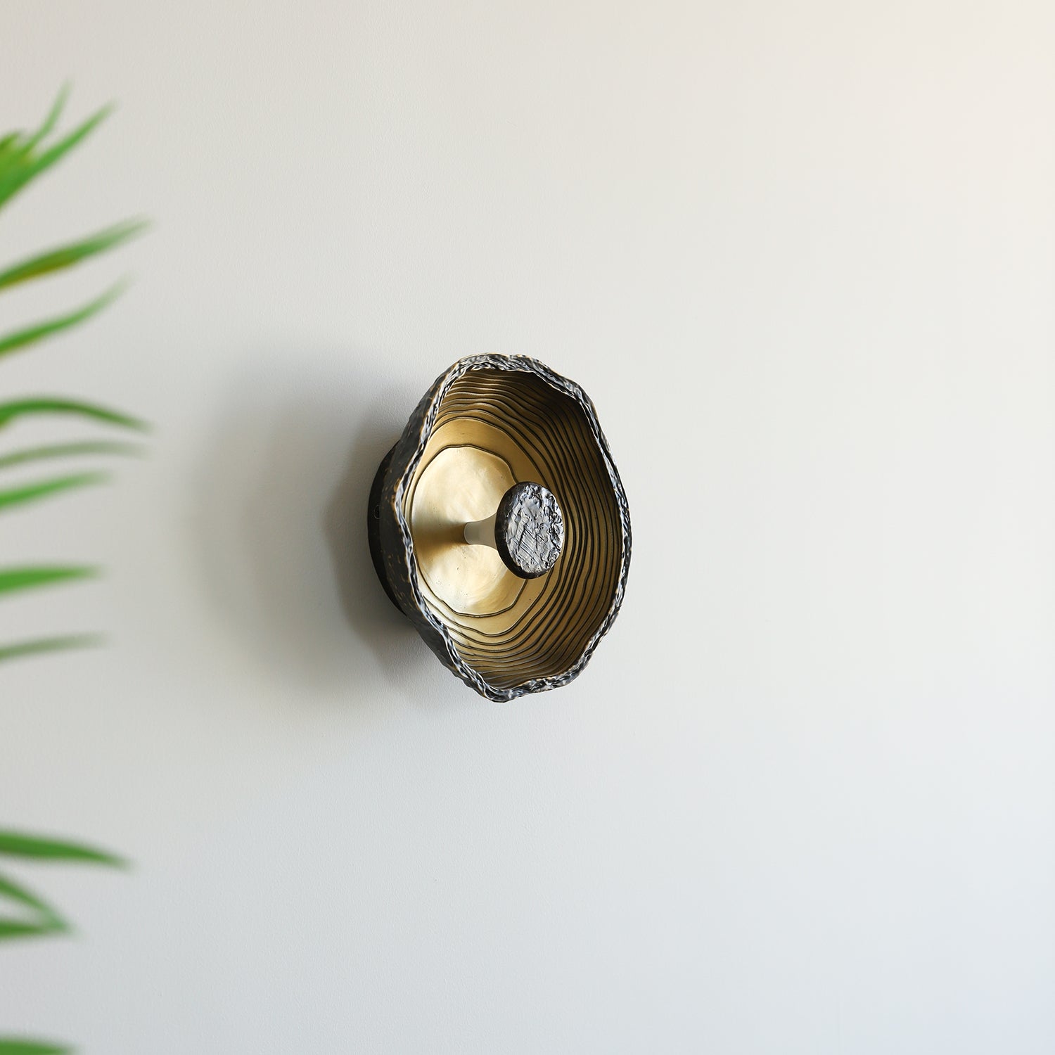 Aurevra Black Wall Lamp