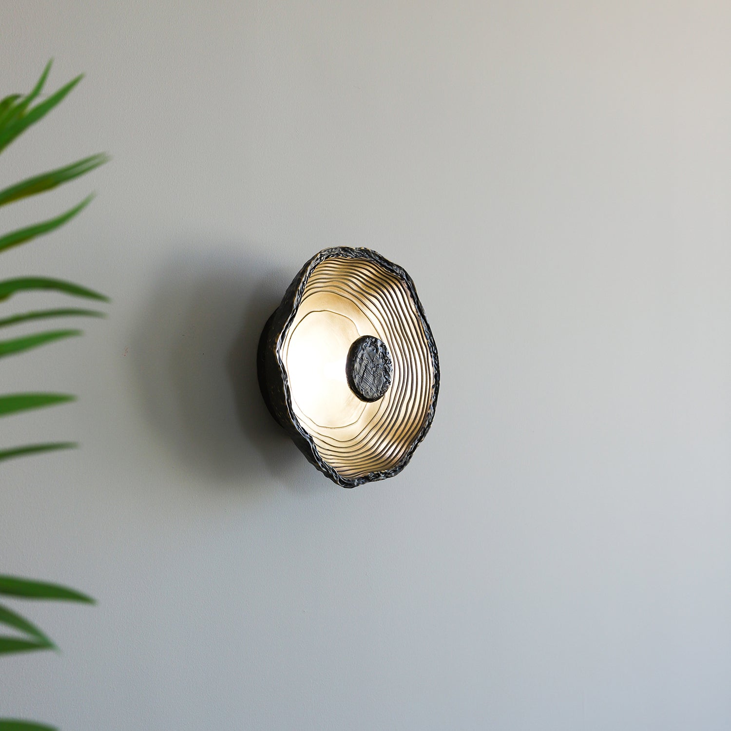 Aurevra Black Wall Lamp