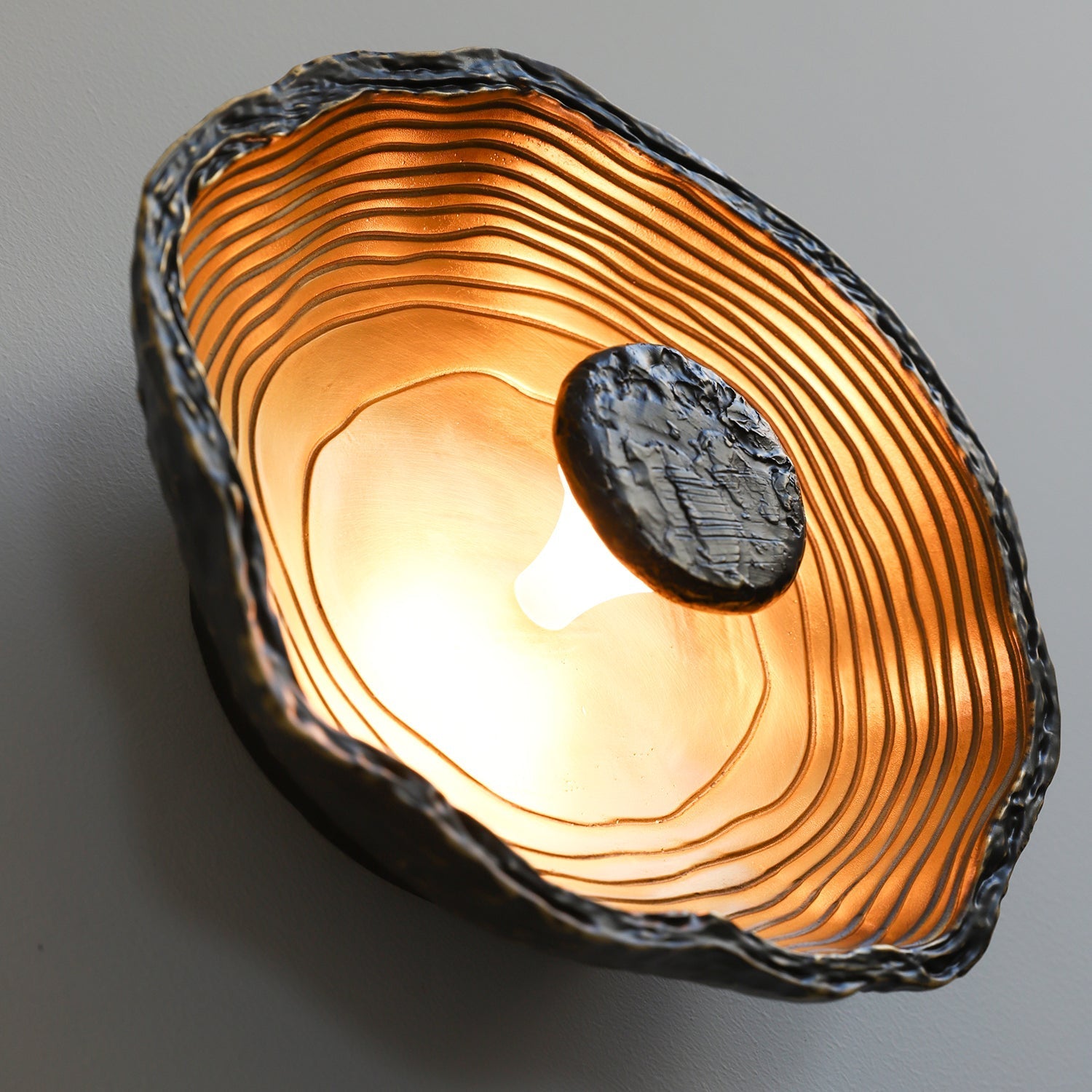 Aurevra Black Wall Lamp