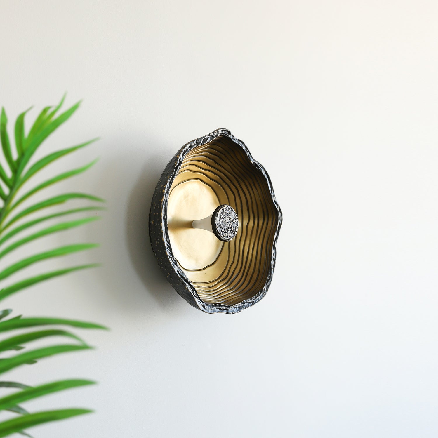 Aurevra Black Wall Lamp