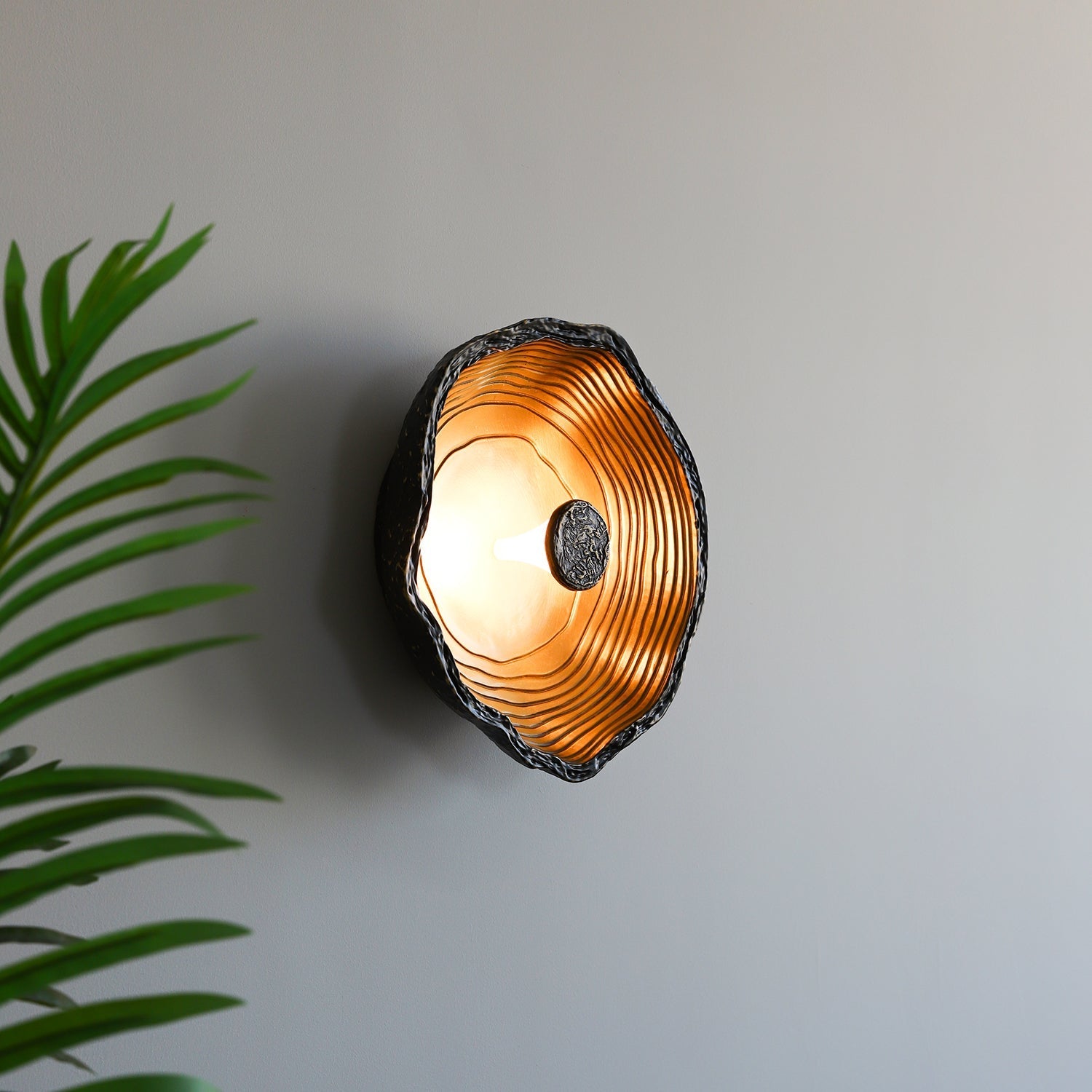Aurevra Black Wall Lamp