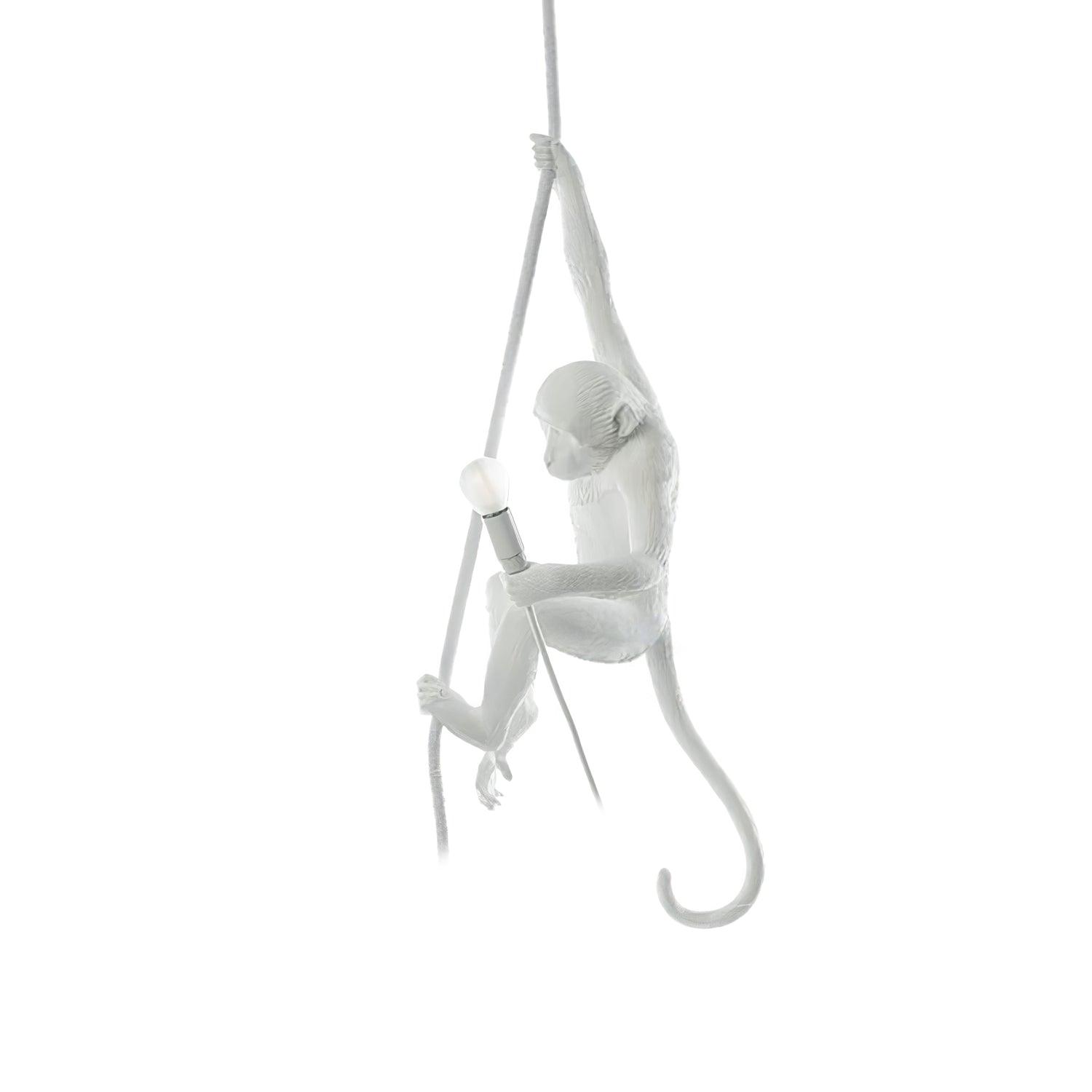 Epiran Resin Rope Artistic Pendant Lamp-Neutral Decor