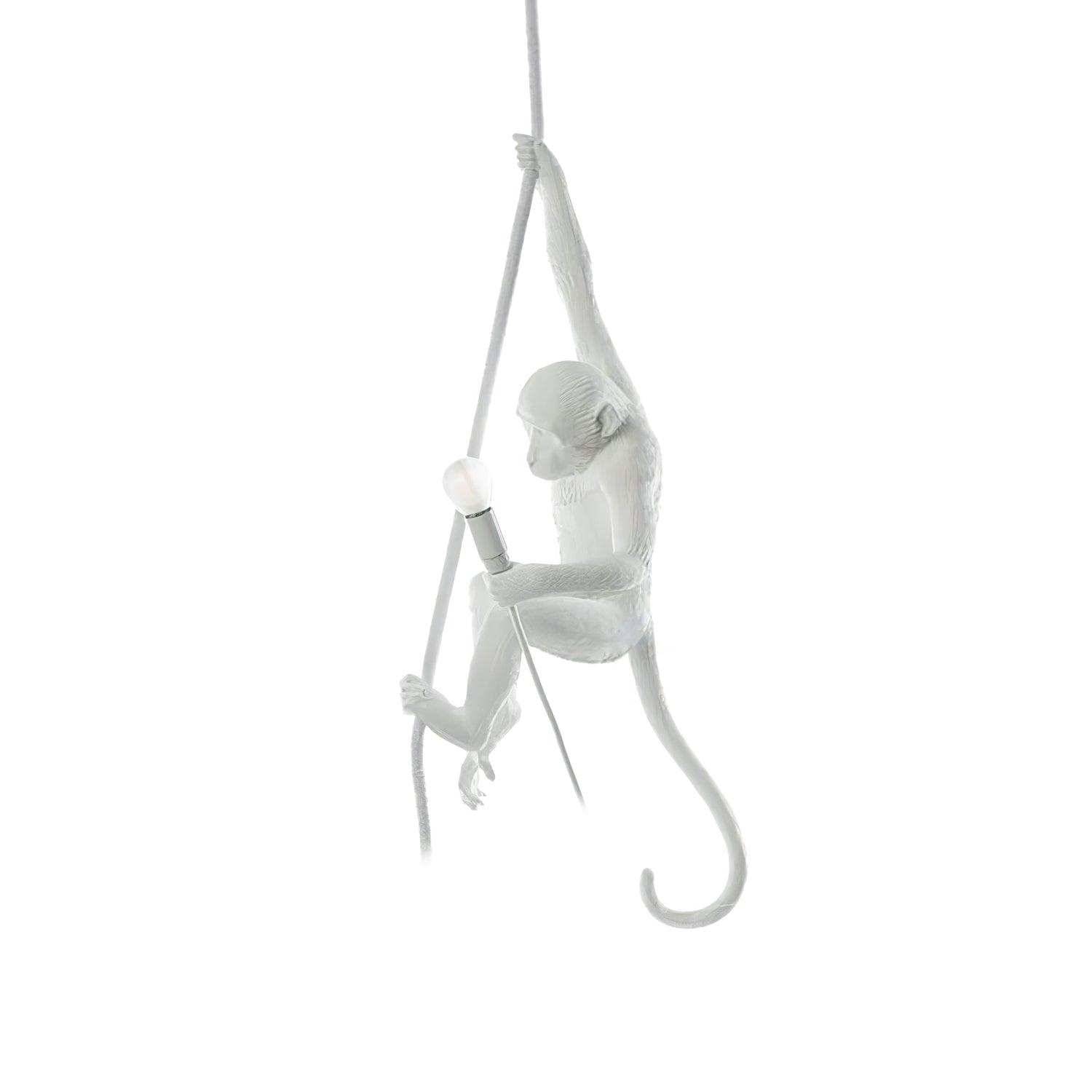 Epiran Resin Rope Artistic Pendant Lamp-Neutral Decor