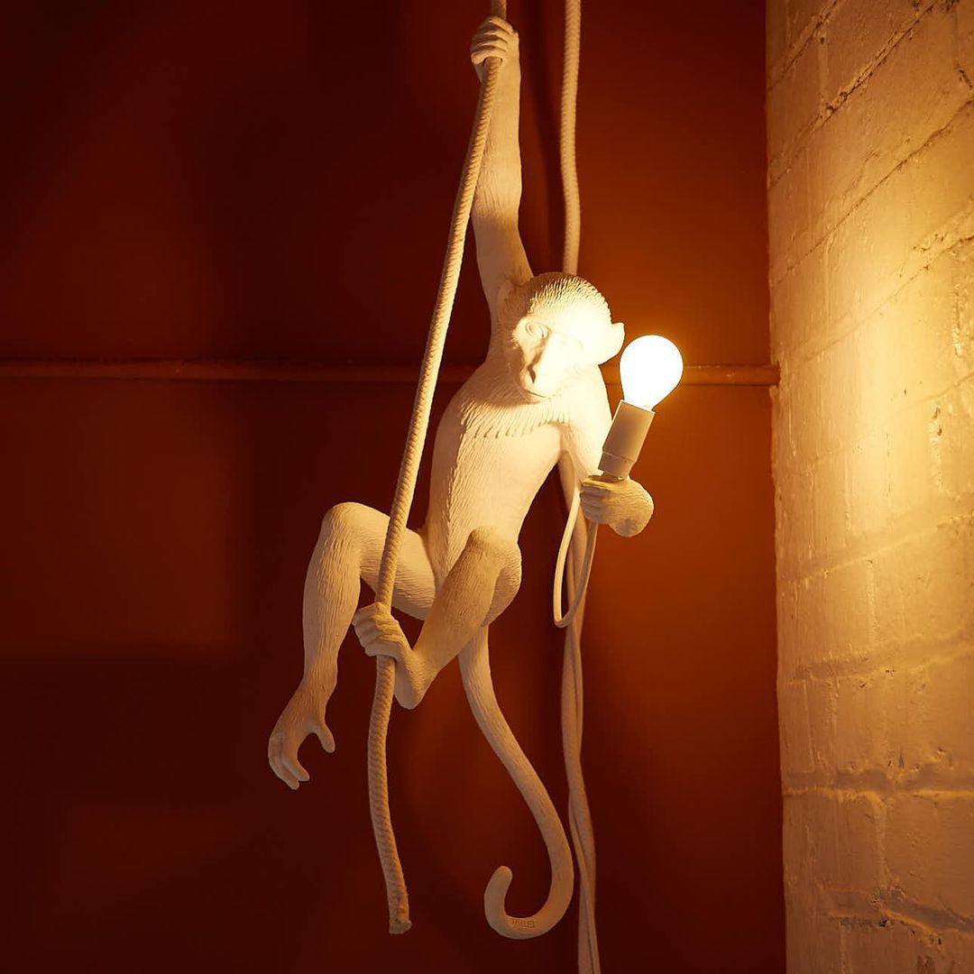 Epiran Resin Rope Artistic Pendant Lamp-Neutral Decor