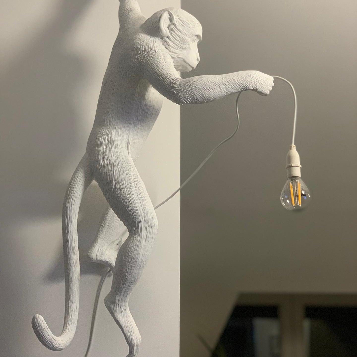 Bnx Art Unique Monkey Resin Wall Lamp-Neutral Decor