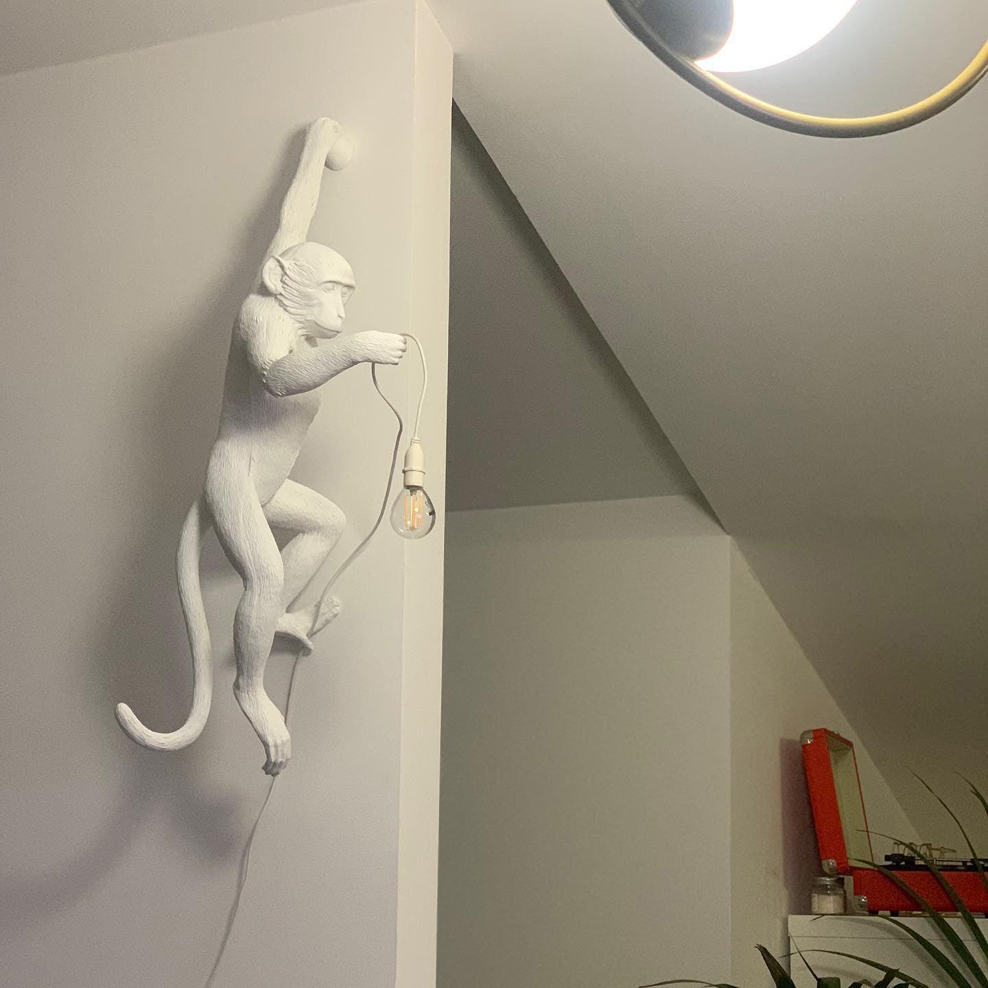 Bnx Art Unique Monkey Resin Wall Lamp-Neutral Decor