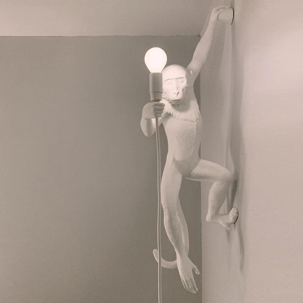 Bnx Art Unique Monkey Resin Wall Lamp-Neutral Decor