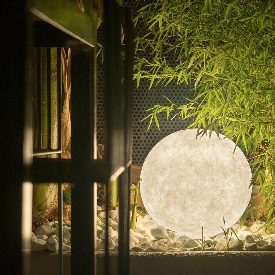 Selene Outdoor Light
