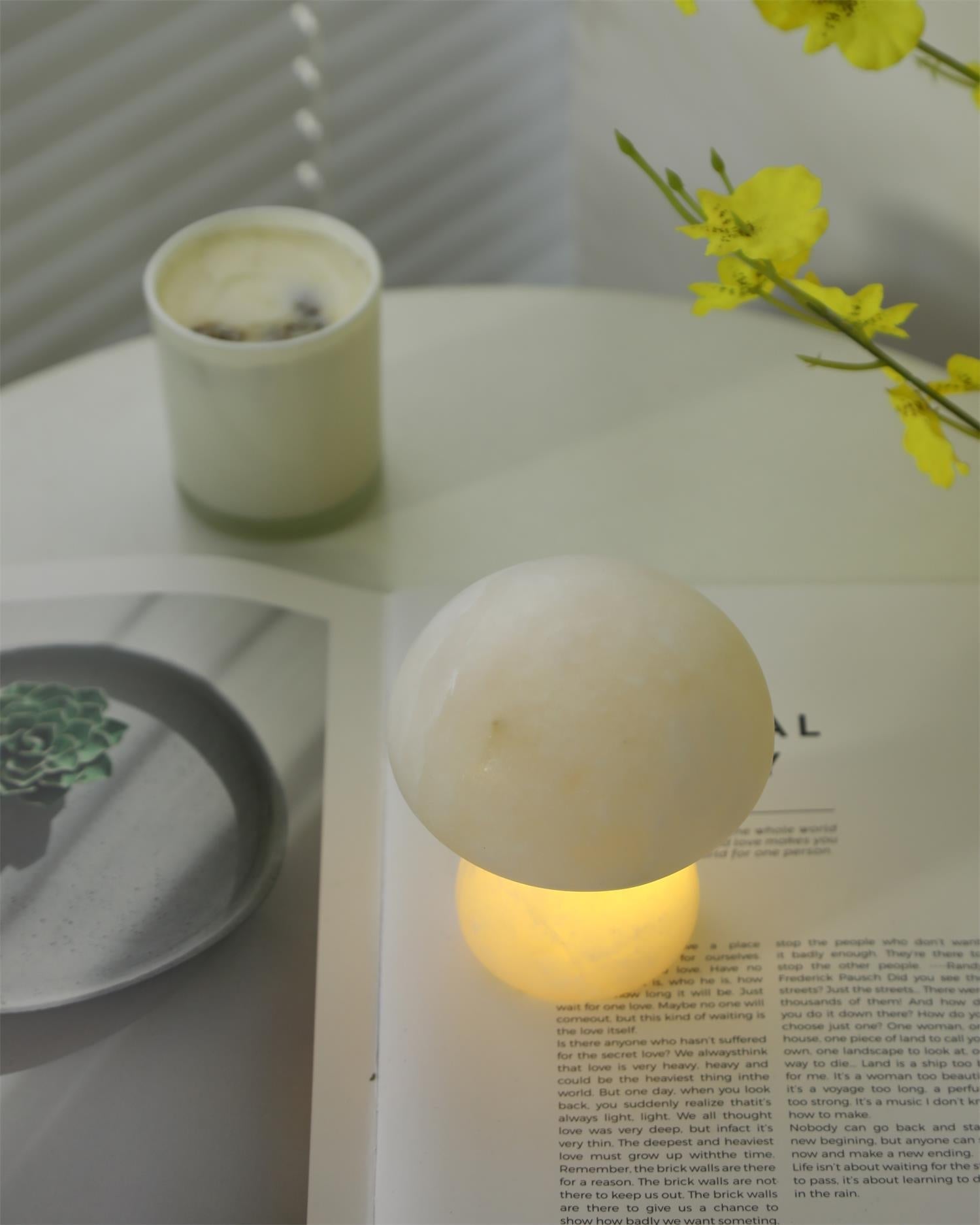 Fungi Table Lamp (built-in battery)