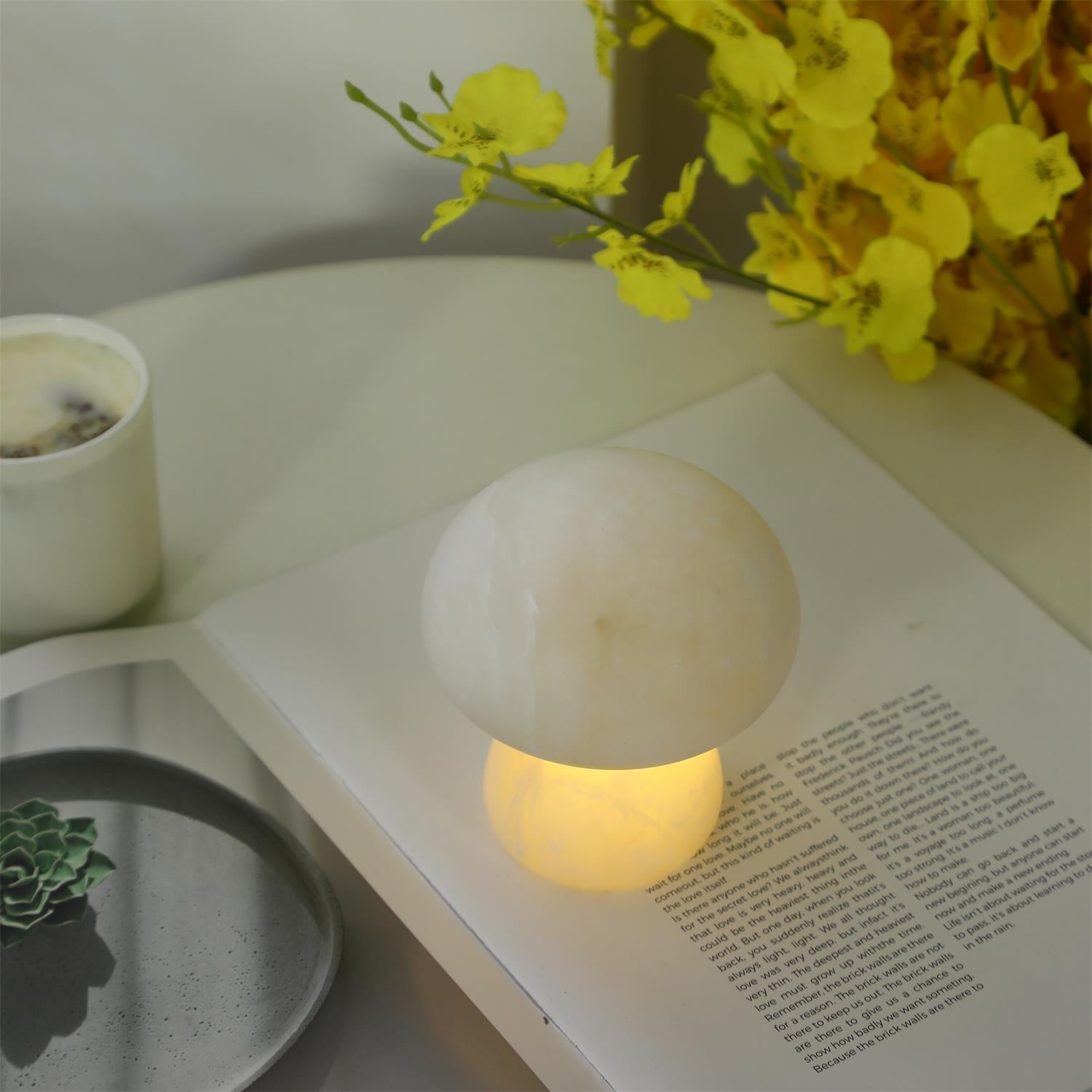 Fungi Table Lamp (built-in battery)