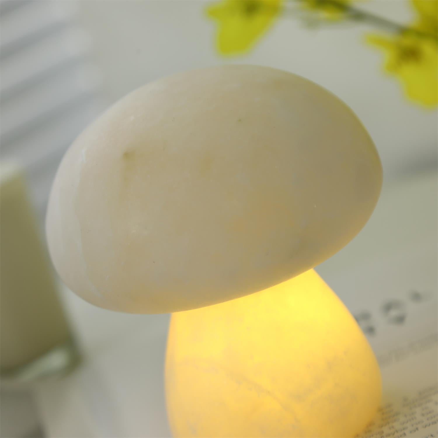 Fungi Table Lamp (built-in battery)