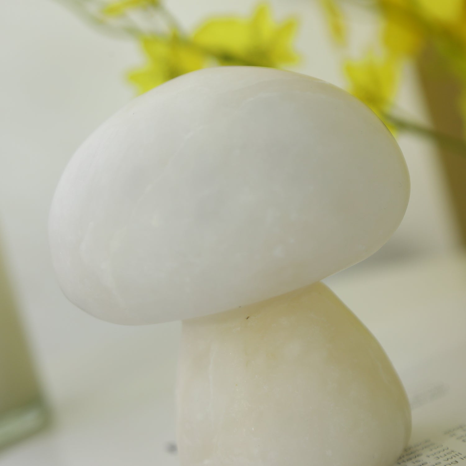 Fungi Table Lamp (built-in battery)